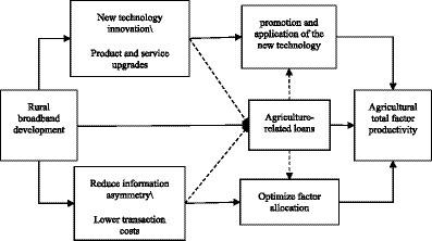 How does the development of rural broadband in China affect agricultural total factor productivity? Evidence from agriculture-related loans